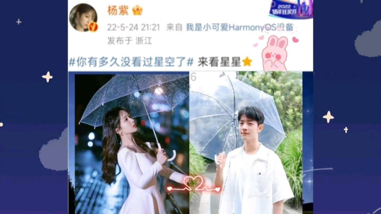 漂亮鹦鹉救援