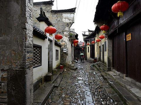 章鱼喷墨汁